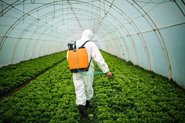 Best Mosquito Control Services  in Maple Glen, PA